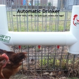 Automatic Chicken Drinker with 3 Drinking Points
