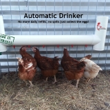 Automatic Chicken Drinker with 6 Drinking Points