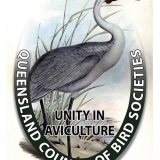 QCBS Queensland Council of Bird Societies Inc. official logo