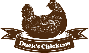 Duck's Chicken Coops