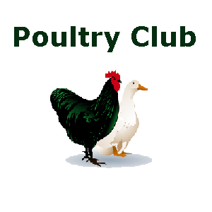 Gayndah-Mundubberra All Fanciers Poultry Club Inc