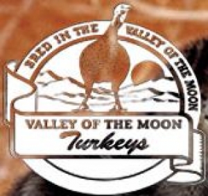 Turkey poults from Valley of the Moon Turkeys