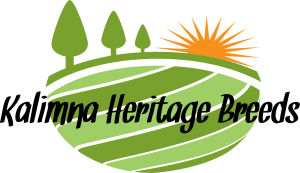 Kalimna Heritage Breeds