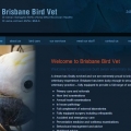 Brisbane Bird Vet