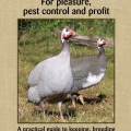 Australia's first book on Guinea fowl