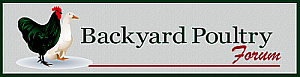 Backyard Poultry Forum