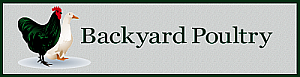 Backyard Poultry by Andy Vardy