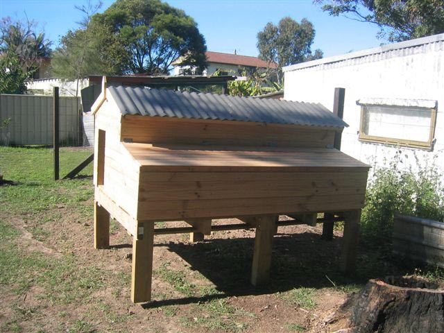Backyard Poultry - Information Centre Australia